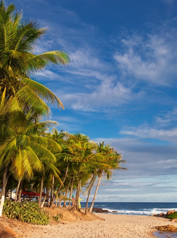 Adventuring in El Salvador's nature