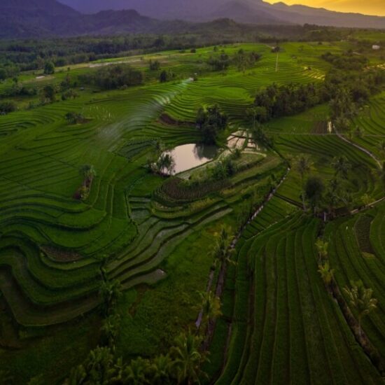 Explore Indonesia Tour