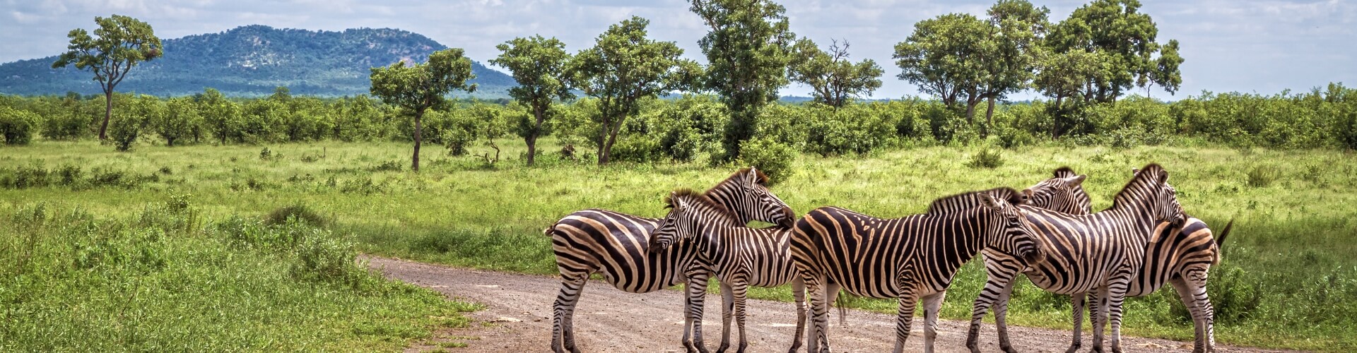 south africa destination banner