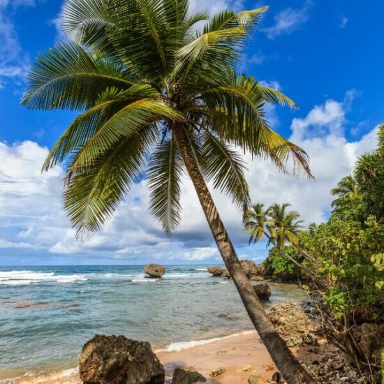 Barbados tour