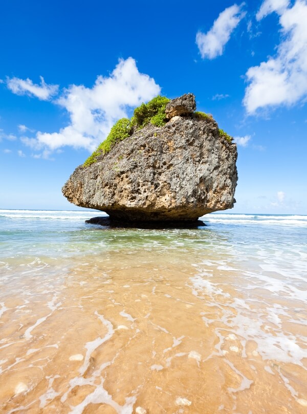 Discover Barbados