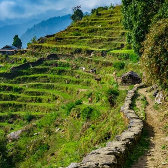 Nepal tour Mountains