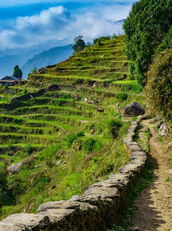 Nepal tour Mountains