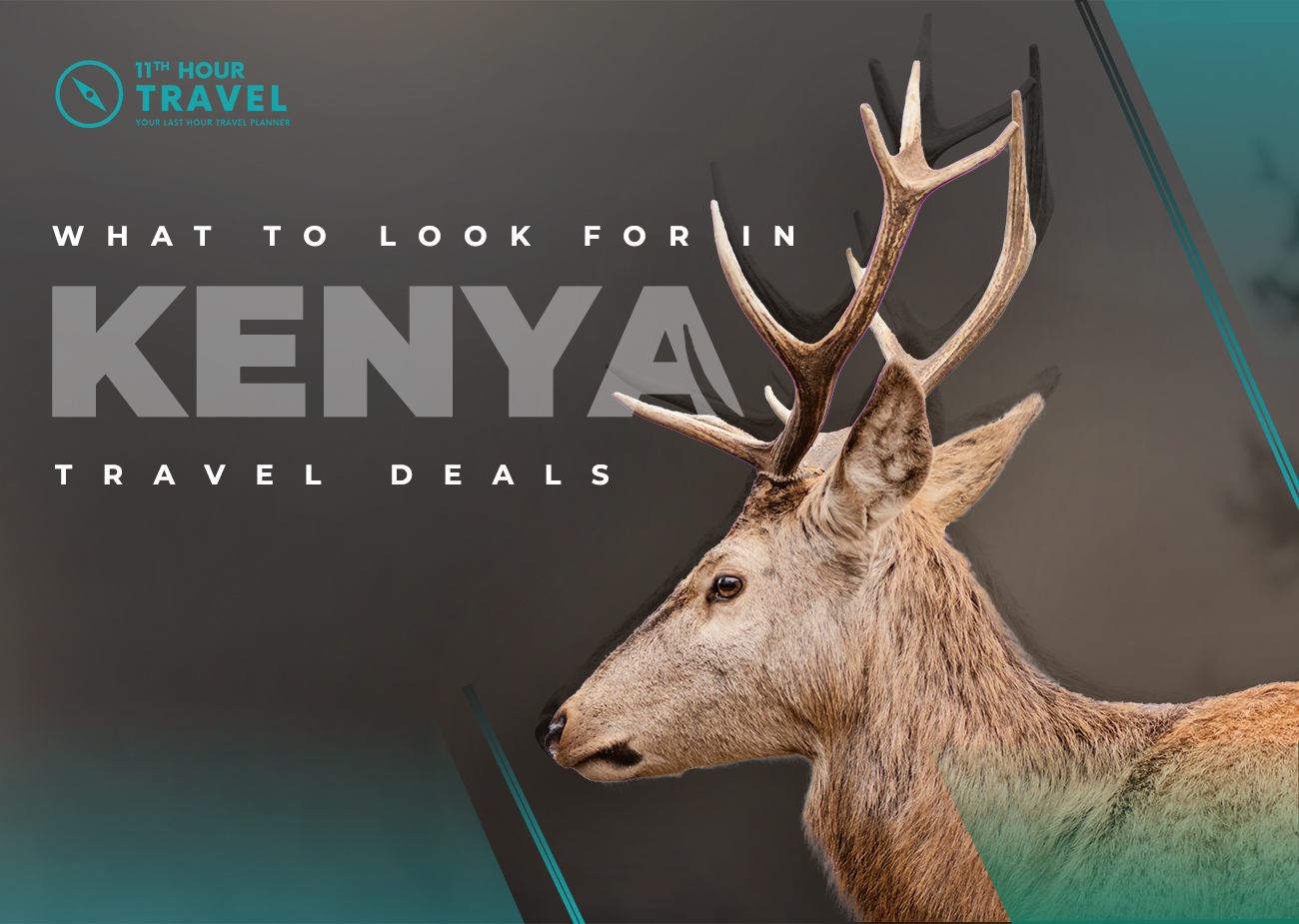 Kenya Travel Deals