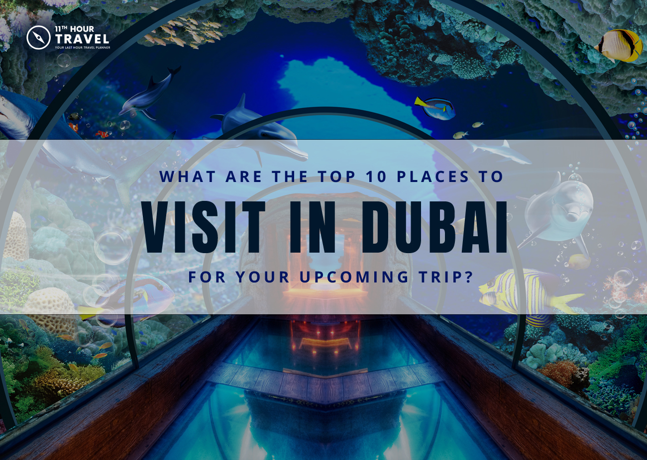 Top places to visit in Dubai
